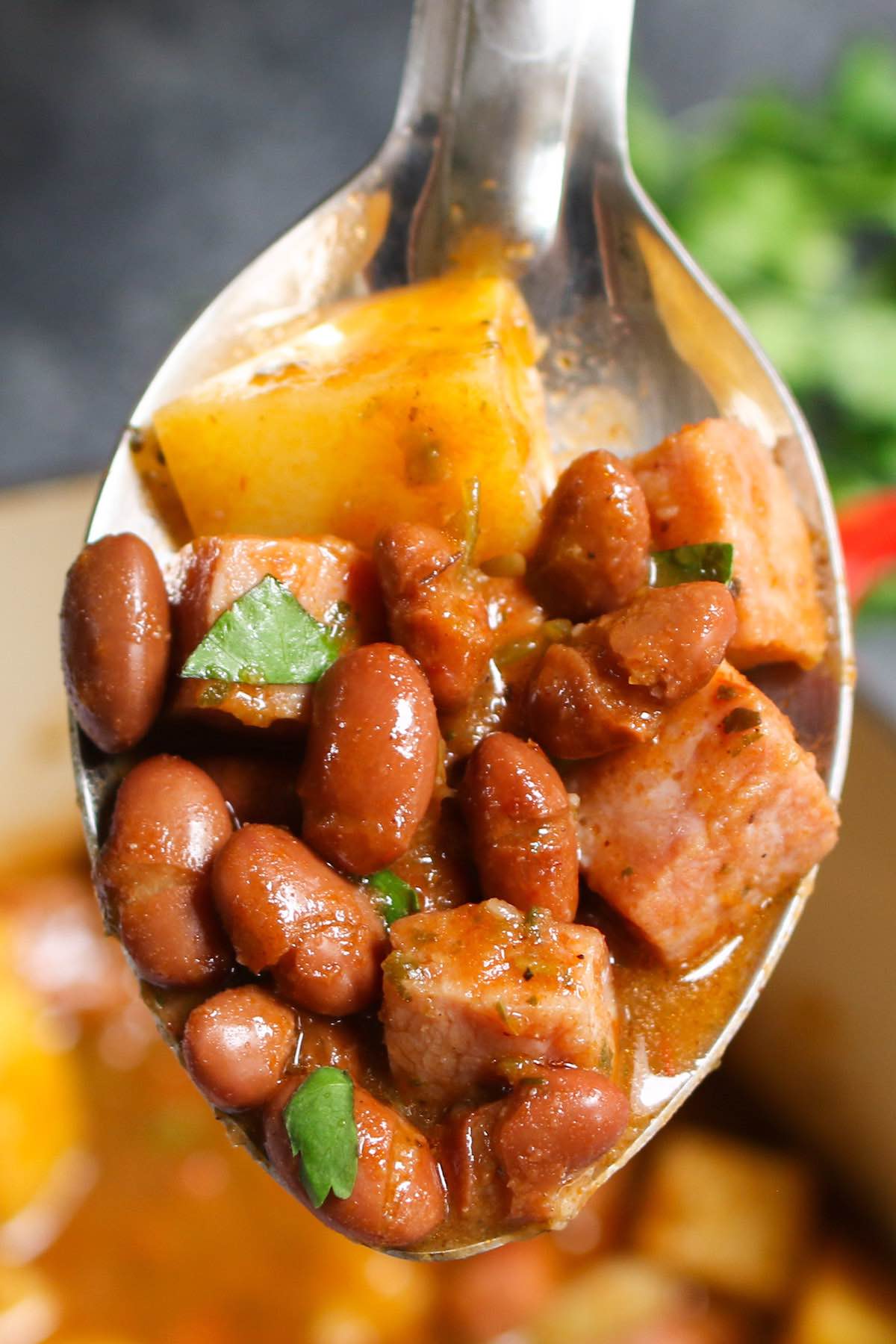 A spoonful of stewed beans with ham and potatoes