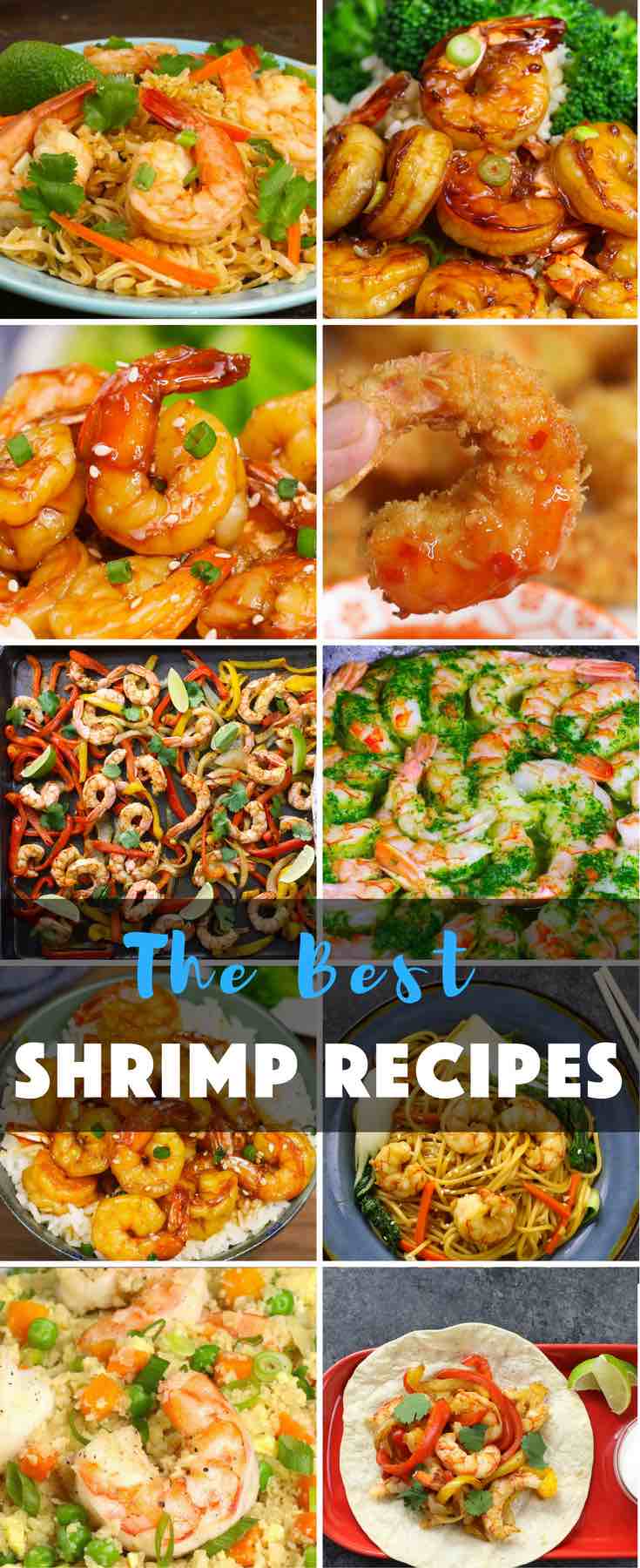 This collection of the most popular shrimp recipes helps you to get the easy and restaurant-quality dinner ready within 15 to 30 minutes. From taking them out from freezer to getting the dinner ready, it takes much less time than most other recipes. Best of all, they are so delicious. 